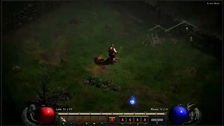 Diablo 2 resurrected scoping the area