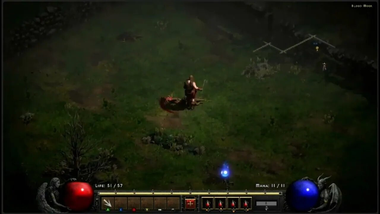 Diablo 2 resurrected scoping the area