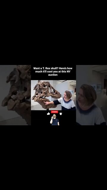 Want a T. Rex skull? Here's how much it'll cost you at this NY auction