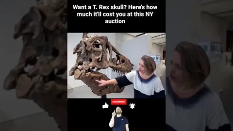 Want a T. Rex skull? Here's how much it'll cost you at this NY auction