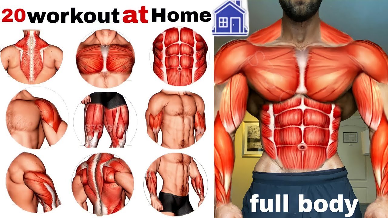 Full-Body Workouts at Home for Maximum Muscle Activation