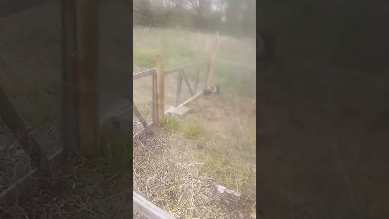 Just a Little Expansion Project