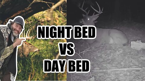 How to tell a night bed vs a day bed with Dan Infalt