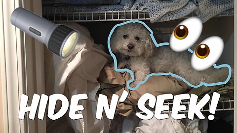 HIDE N' SEEK w/ QUINCY!