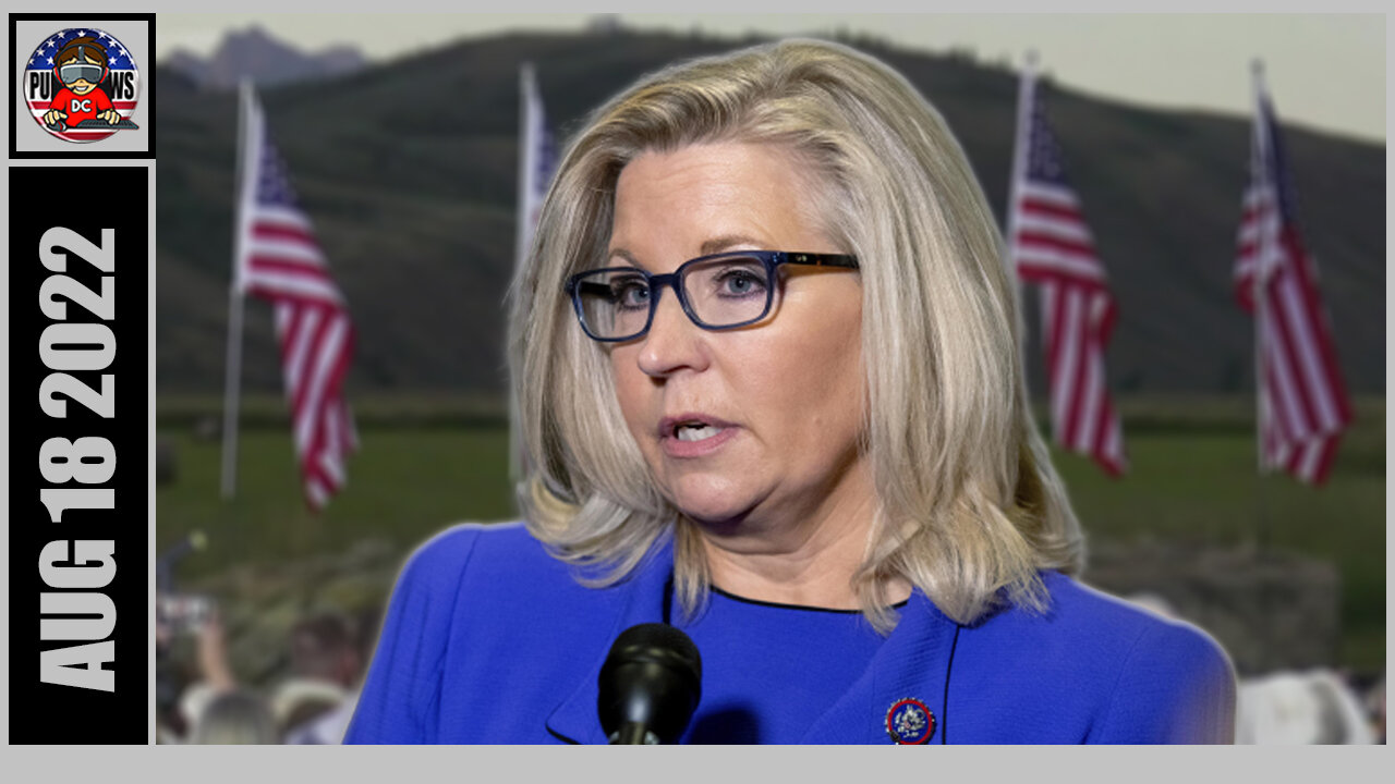 Liz Cheney Our Republic Relies Upon The Good Will Of All Candidates