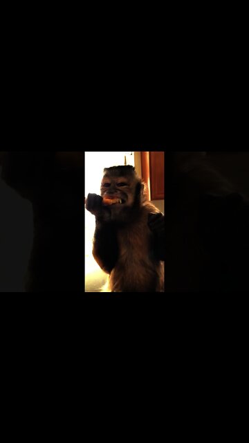 Do y’all remember old square school pizza! Well mom got a case today from the restaurant supplier