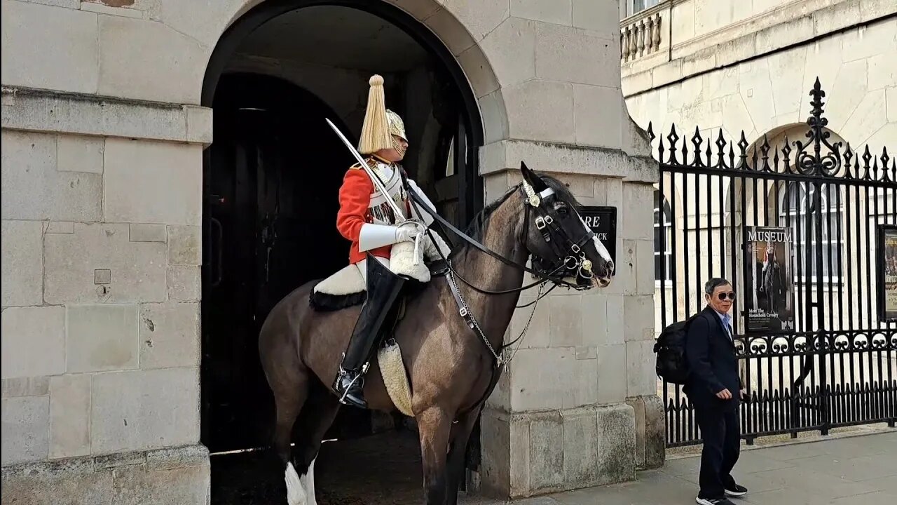 Tourist dose not get he is over stepping the mark #horseguardsparade