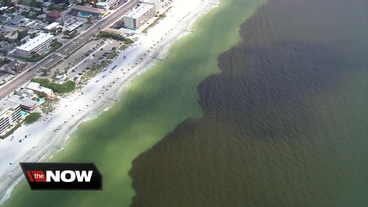 NOAA: Cooler weather won't help with red tide, but season change could