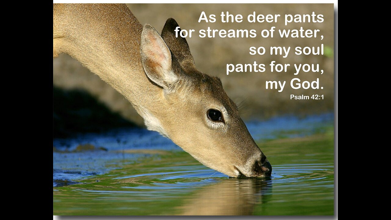 A Beautiful Psalm #42 God Bless You!
