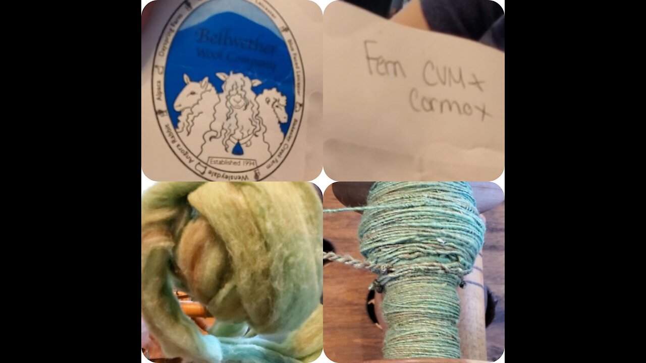 Product review! Premium roving from Bellwether Wool Company!