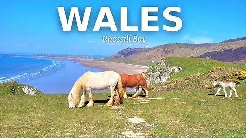 "Award Winning Beach" Mistaken For The "CARIBBEAN" || Rhossili Bay Beach Walk - Wales