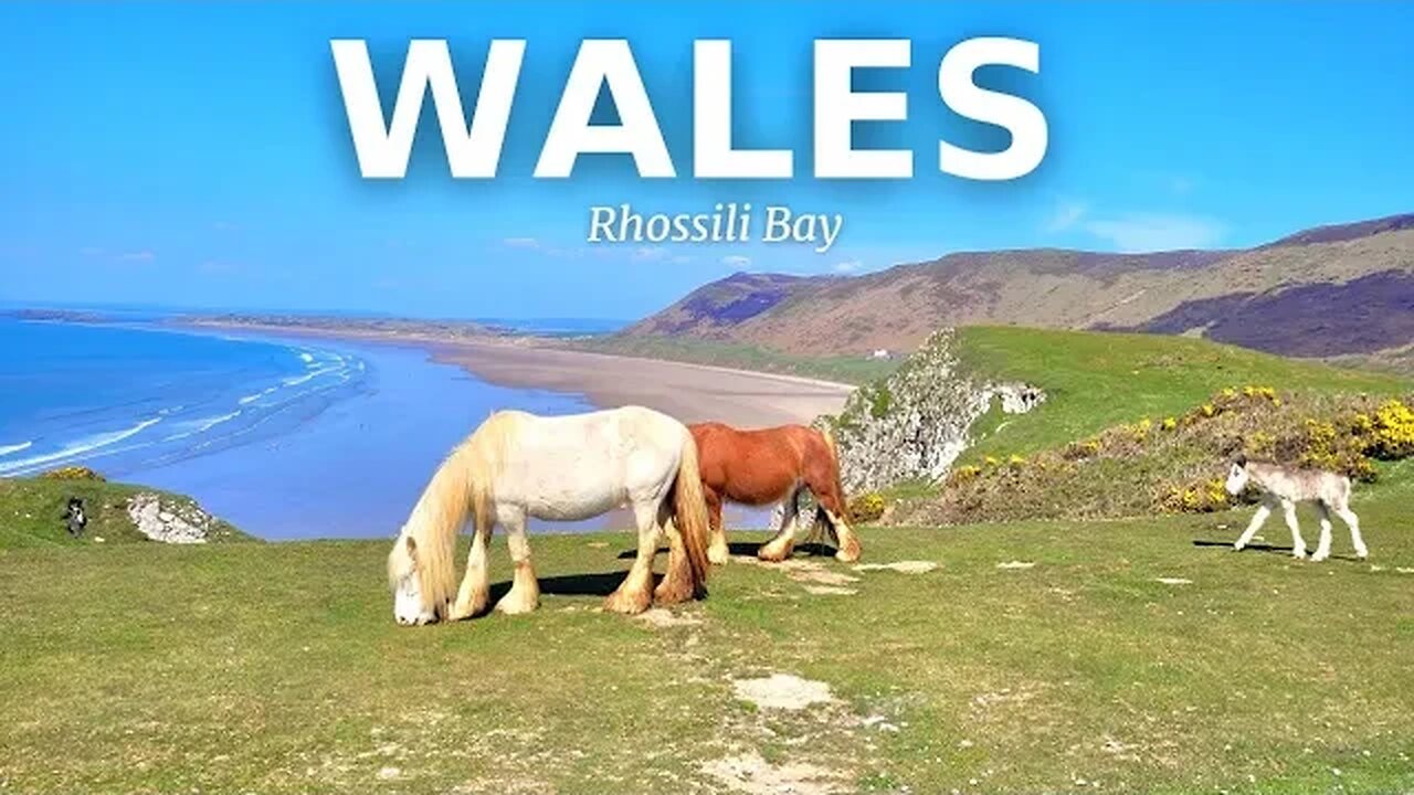 "Award Winning Beach" Mistaken For The "CARIBBEAN" || Rhossili Bay Beach Walk - Wales