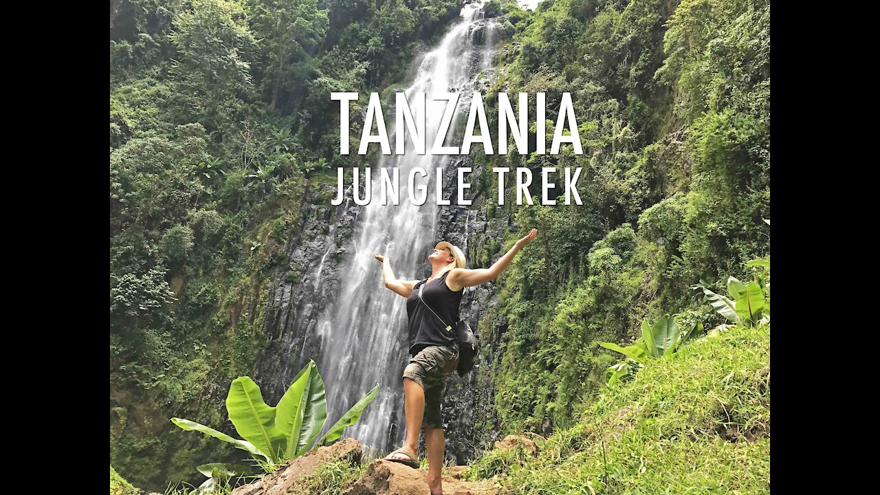 Jungle Mountain Trek In Tanzania (2019)