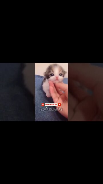 QUANDO AS PESSOAS ME CHAMAM DE LINDO🤣🤣🤣