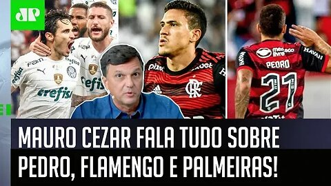 "Foi uma COISA FABRICADA! MATÉRIAS IMUNDAS!" Mauro Cezar É DIRETO sobre Pedro, Flamengo e Palmeiras!