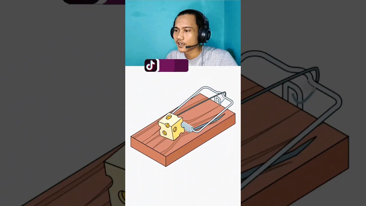 Jebakan tikus | Braindom level 112