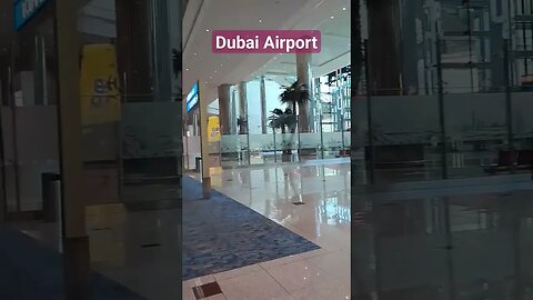 Dubai Airport দুবাই এয়ারপোর্ট #shorts