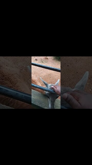 She is looking for love.