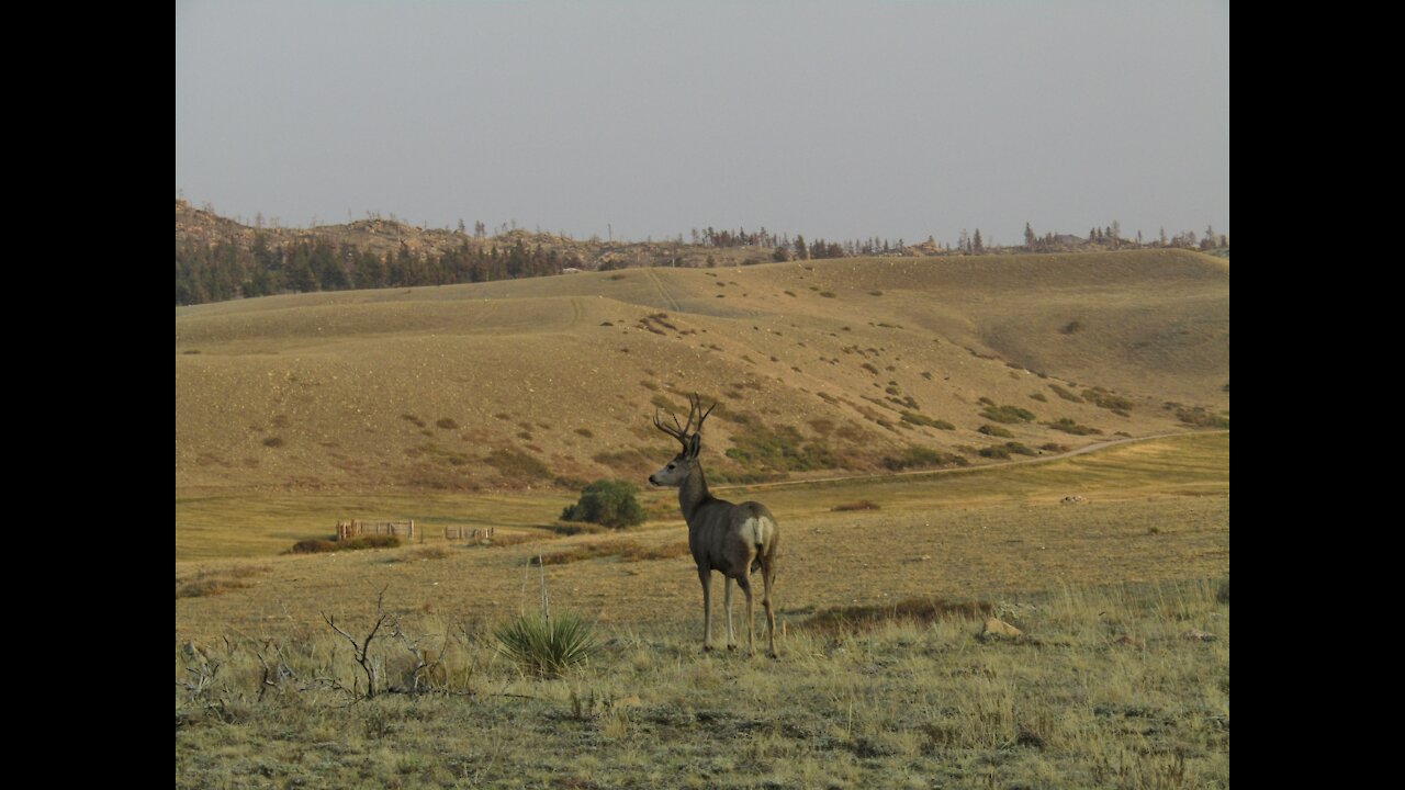 Wyoming Vistas: Glimpses of Autumn