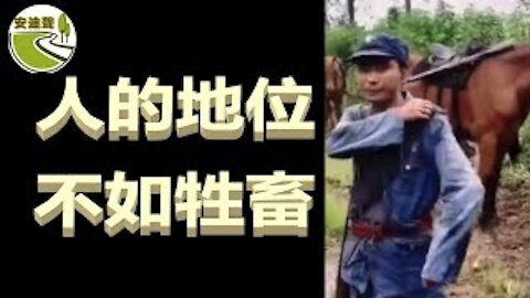 天灾人祸不断.演员大不如前.交警使劲罚款.富足公务人员【061921第727期】