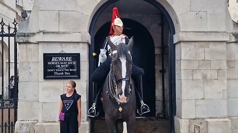 from smiley to serious on less than a second #horseguardsparade