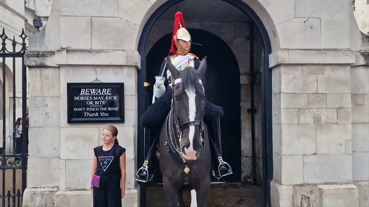 from smiley to serious on less than a second #horseguardsparade