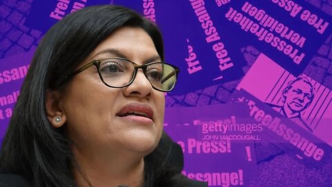 BASED Rashida Tlaib Leads Squad Effort To Free Julian Assange