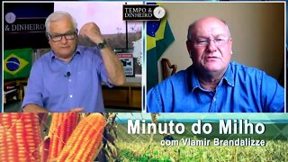 Milho em véspera de feriadão calmo