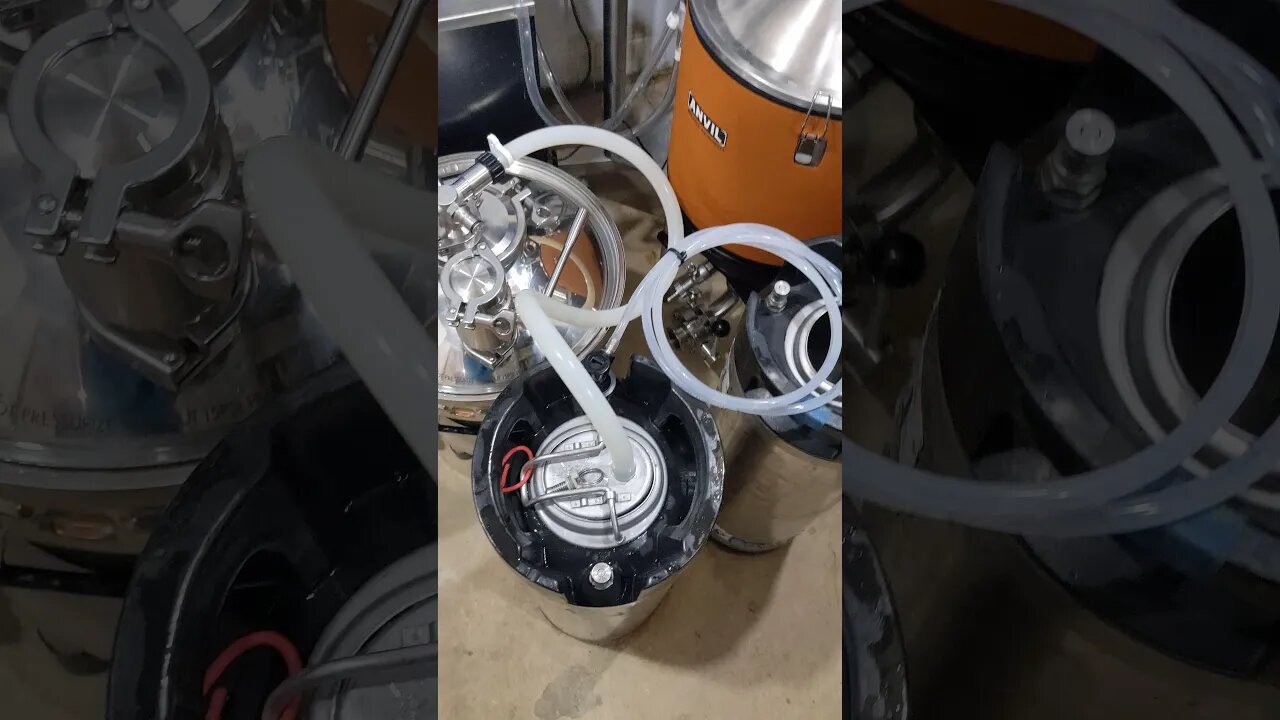 Save your CO2! Pressure fermentation keg purge!!