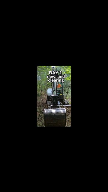 DAY 1 of new land clearing project #shorts