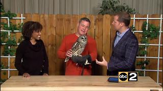 Expedition Chesapeake - Jeff Corwin