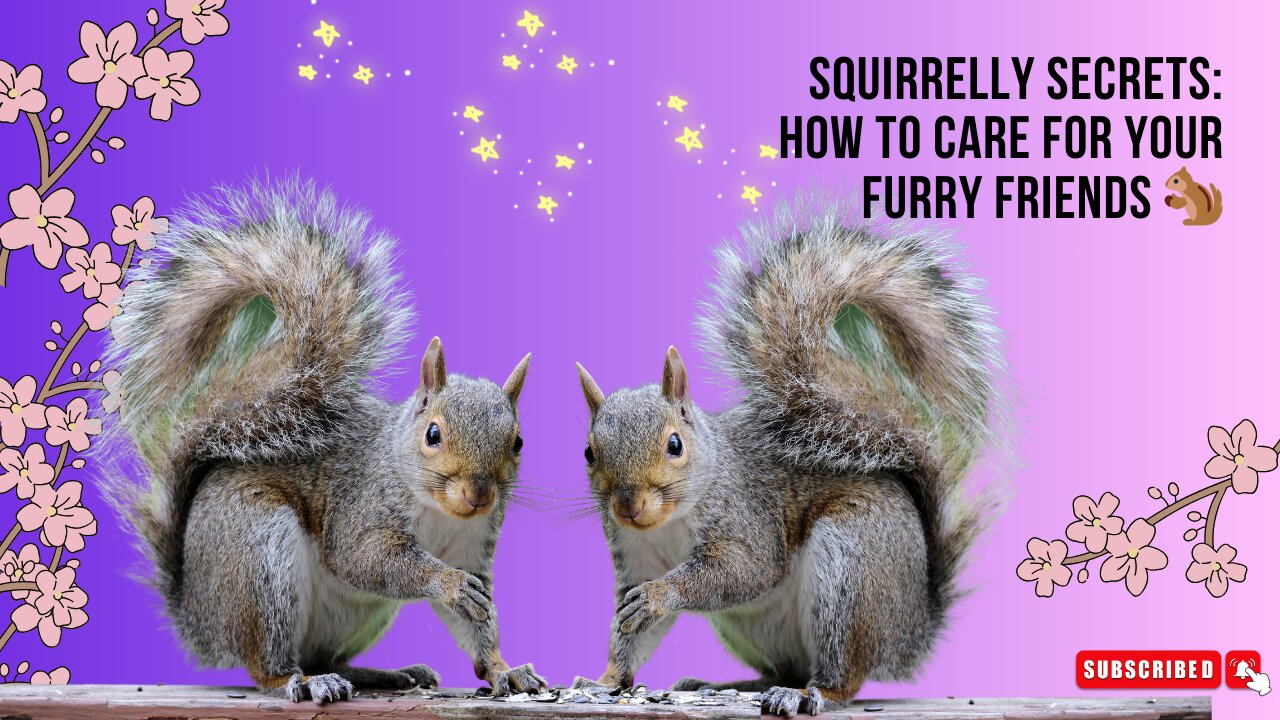 #Squirrels l 🐿️🌰How To Care For Them🐿️🌰🐿️🌰