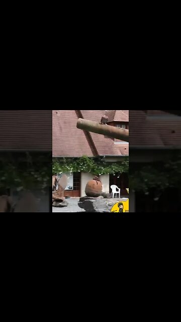 D-Day Tank Wrecks at Normandy #shorts 13