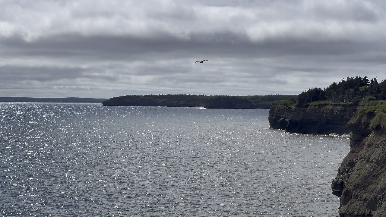 View From Point Aconi In Cape Breton Island