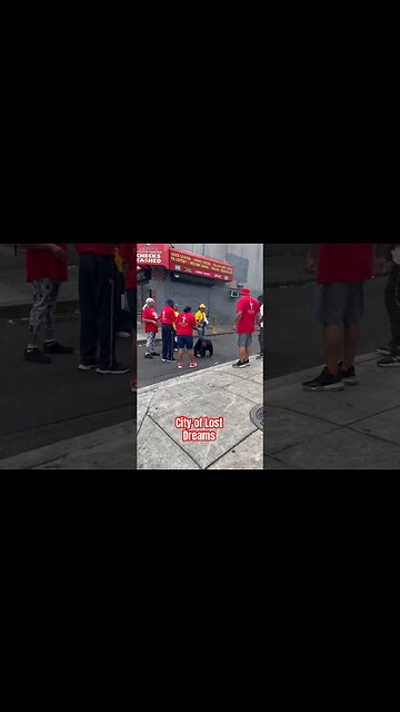 A Glimpse into the Struggle