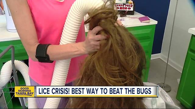 Hurricane Irma created a lice crisis among kids