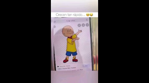 Funny caillou