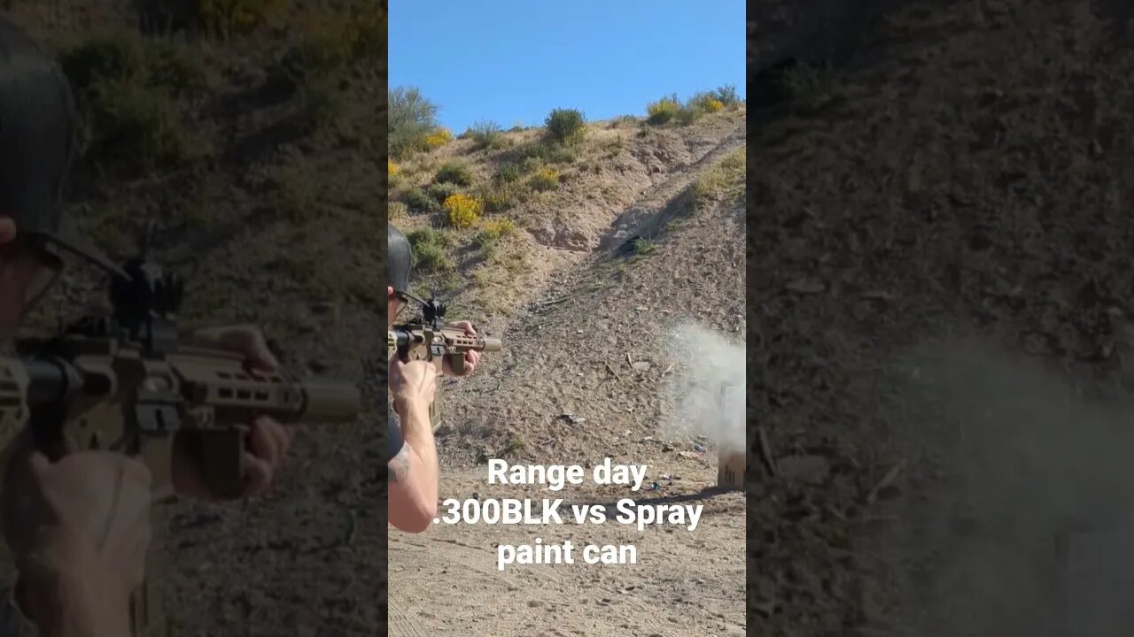 .300BLK w/ suppressor vs spray-paint can