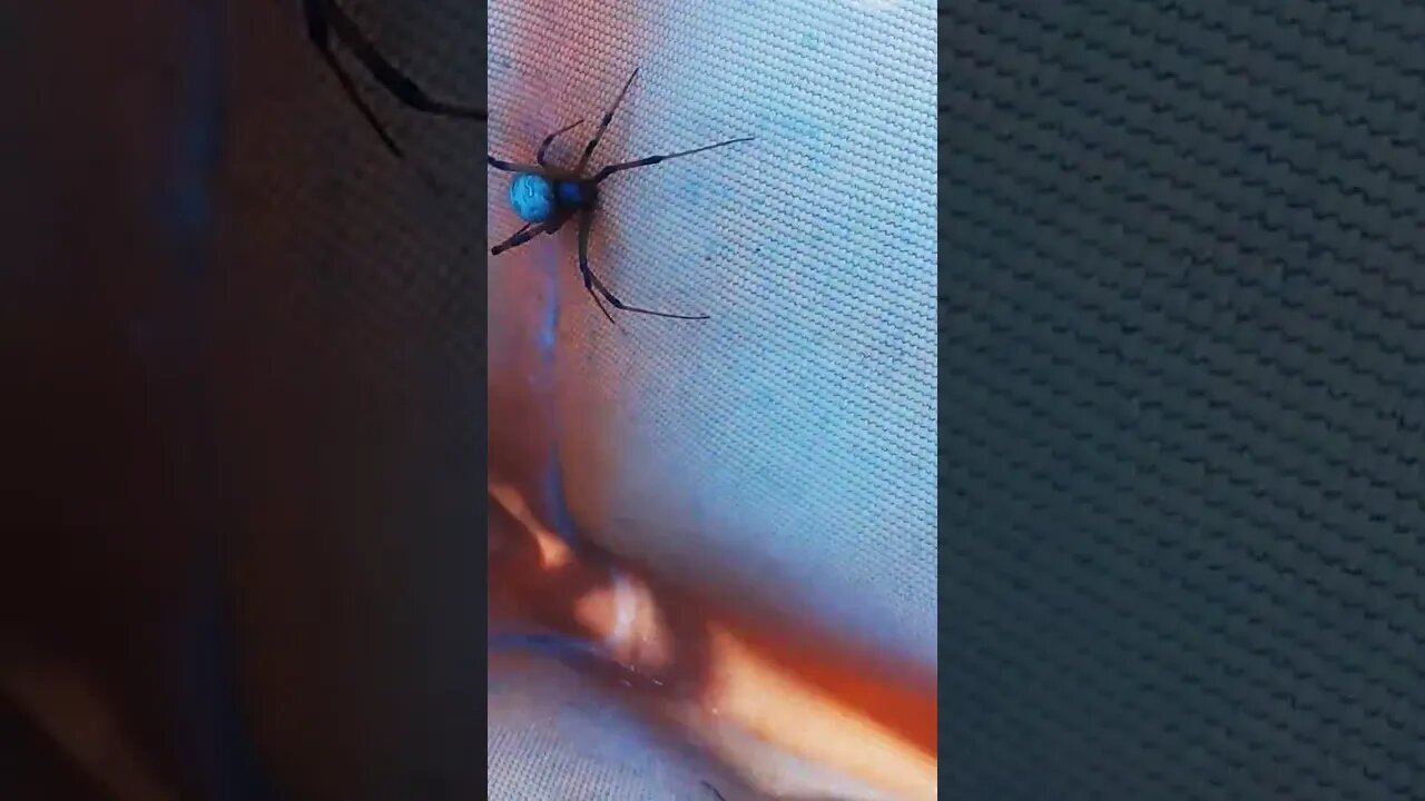 not sitting there lol