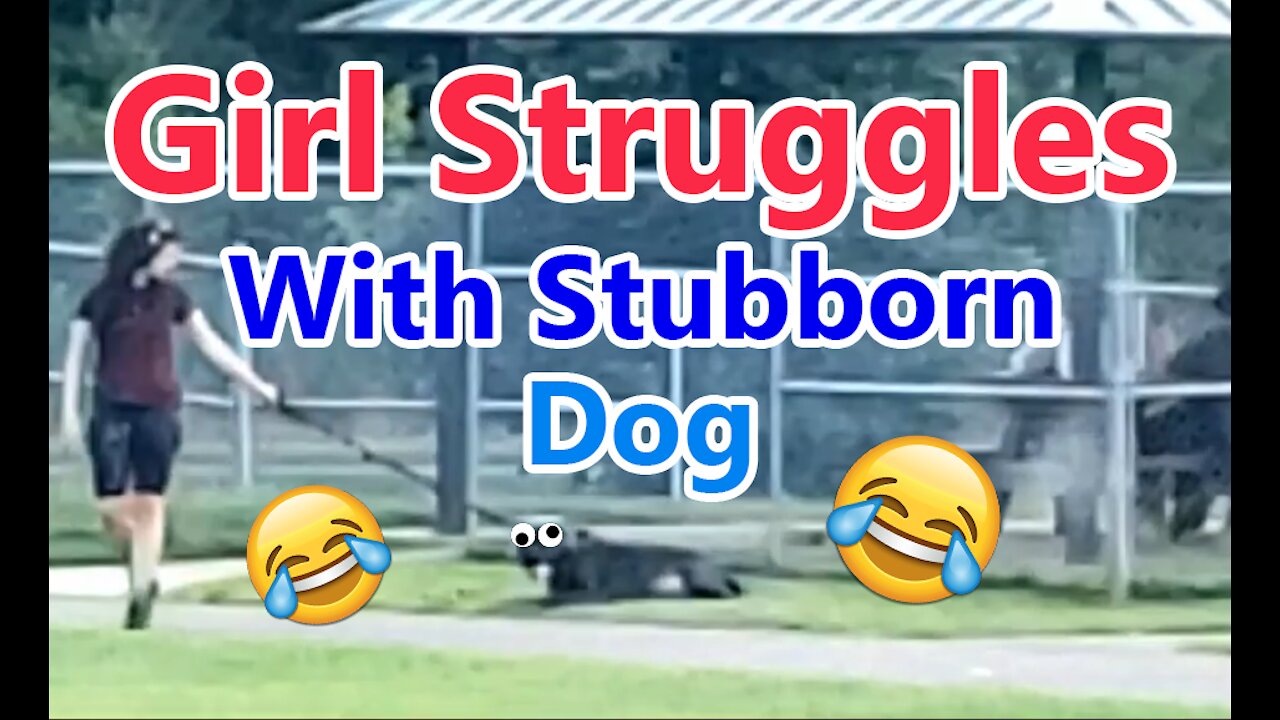 Girl struggles with stubborn dog