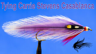 Tying Carrie Stevens Casablanca - Dressed Irons