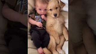 Baby & Doggy Love Cute Viral