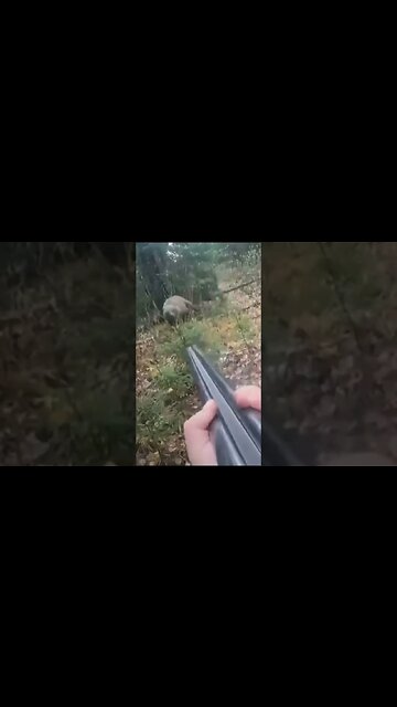 🐂 trying to hold off the 🐻 market