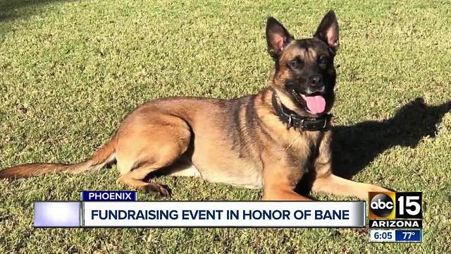 Fundraiser Saturday in honor of fallen Phoenix Police K-9 Bane