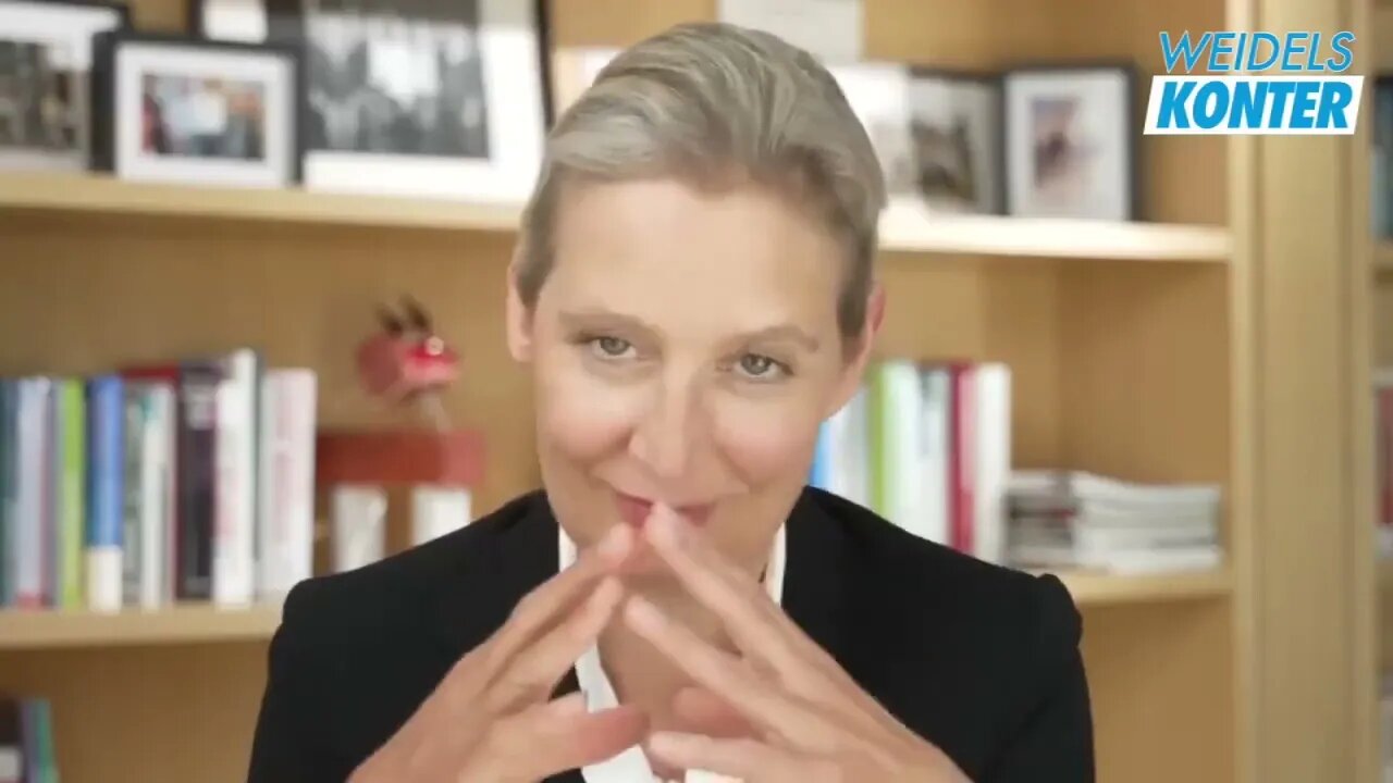 Alice Weidel AfD In der Krise stark werden