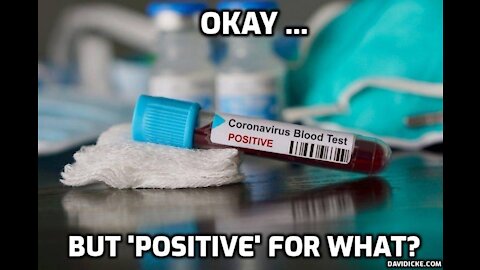 What happened when they checked what was on the swab in the 'Covid' test