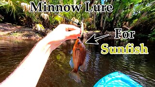 Sunfish from a kayak: Florida Fishing