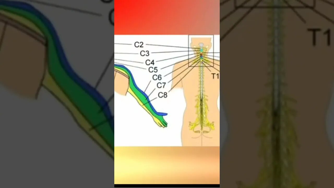 Que bruto😂 #latino #risasymasrisas #humorlatino