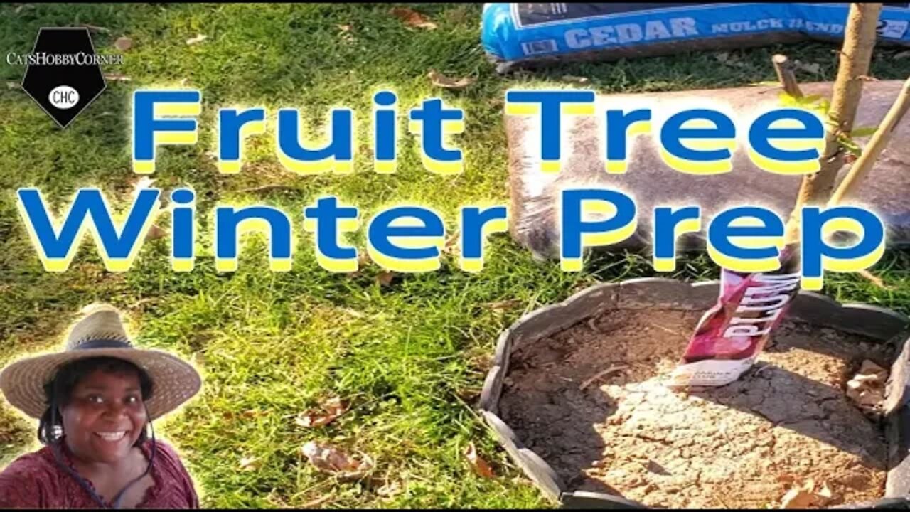 Winter Prep Fruit Trees