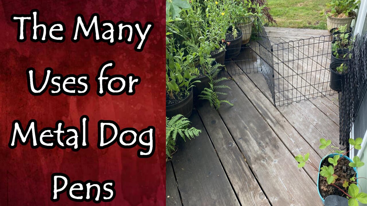 How I Utilize Dog Pens for Home and Garden